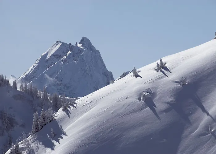 ホームステイ Haus Tiefenbacher *